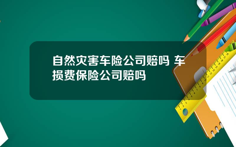 自然灾害车险公司赔吗 车损费保险公司赔吗